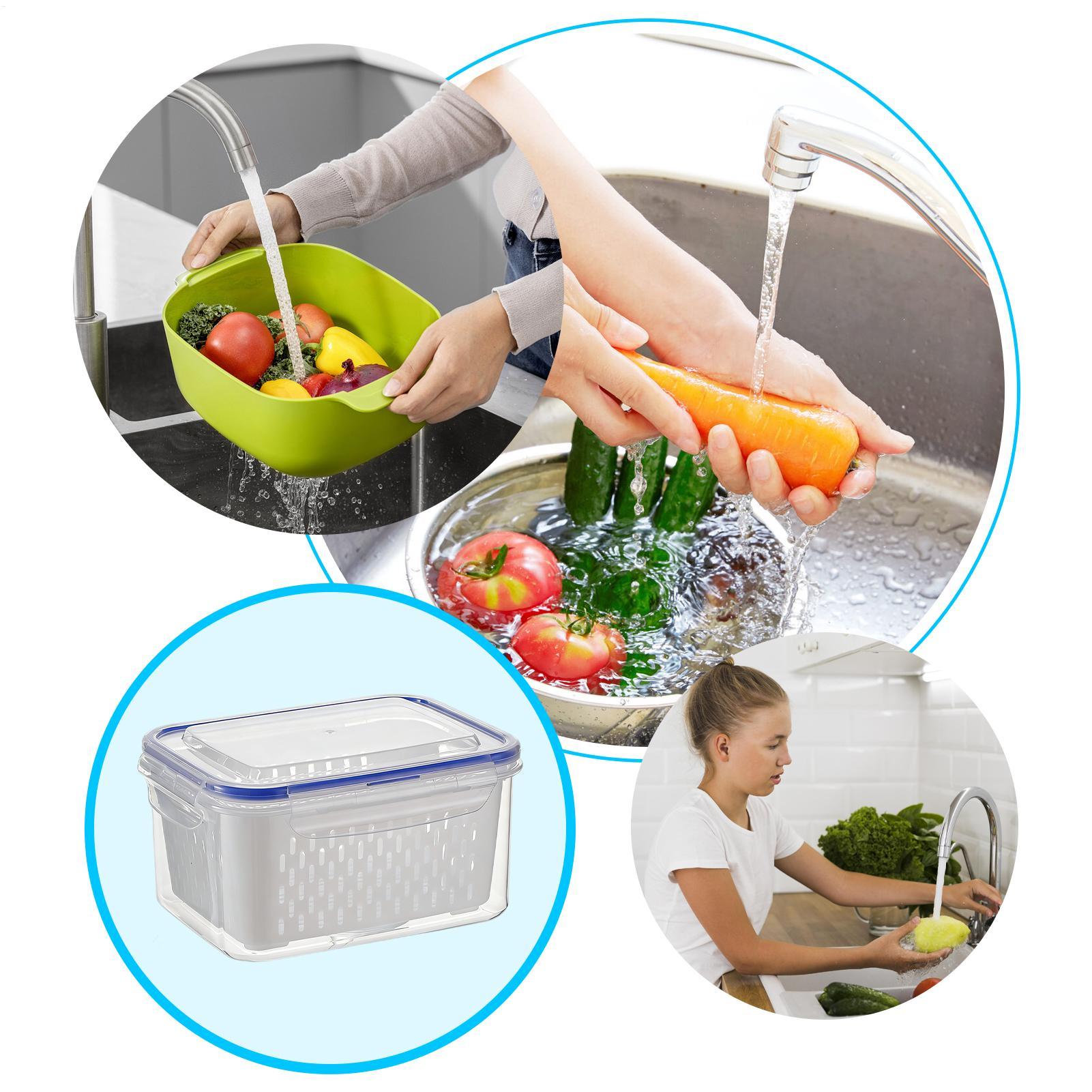 Container de Armazenamento de  - Food Storage Refrigerator avaliação e preço