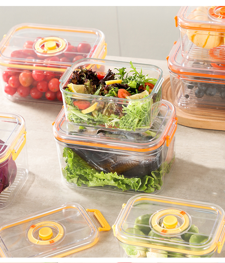 Caixa de Conservação a Vácuo p - Food Storage Refrigerator avaliação e preço
