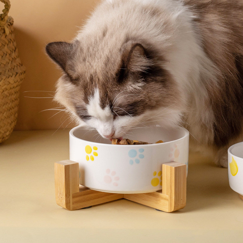 Tigela de cerâmica para cães c - Food Storage Safety avaliação e preço