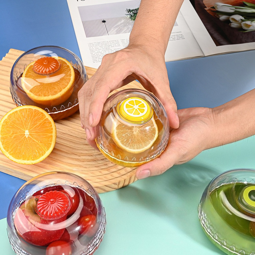 Caixa Hermética Portátil para  - Food Storage Refrigerator avaliação e preço