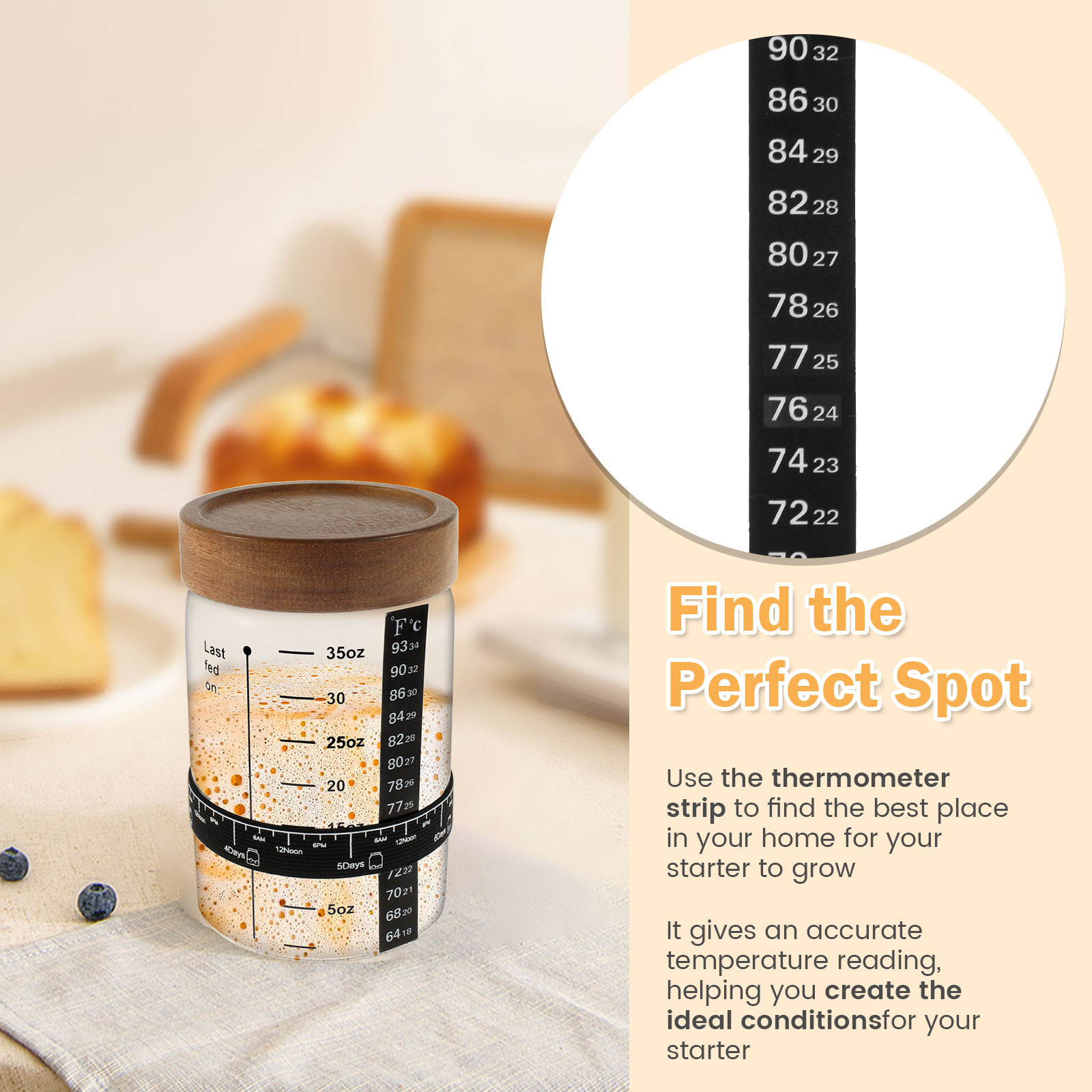 Kit de frasco inicial de massa - Food Storage Glass Containers avaliação e preço