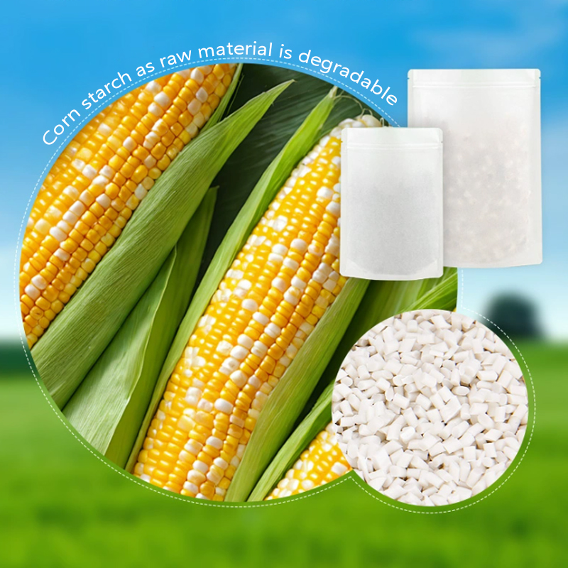 Sacos de papel kraft degradáve - Zebra Food Storage avaliação e preço