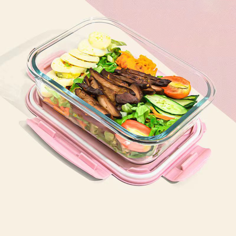 Novo estilo lancheira de vidro - Food Storage Glass Containers avaliação e preço