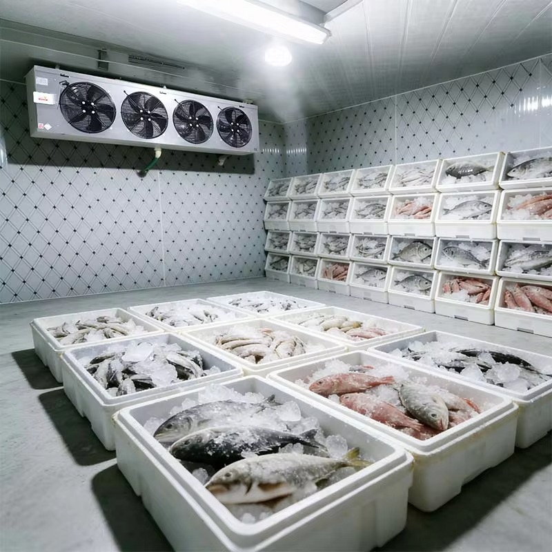 Câmara frigorífica personaliza - Food Storage Food Safety avaliação e preço
