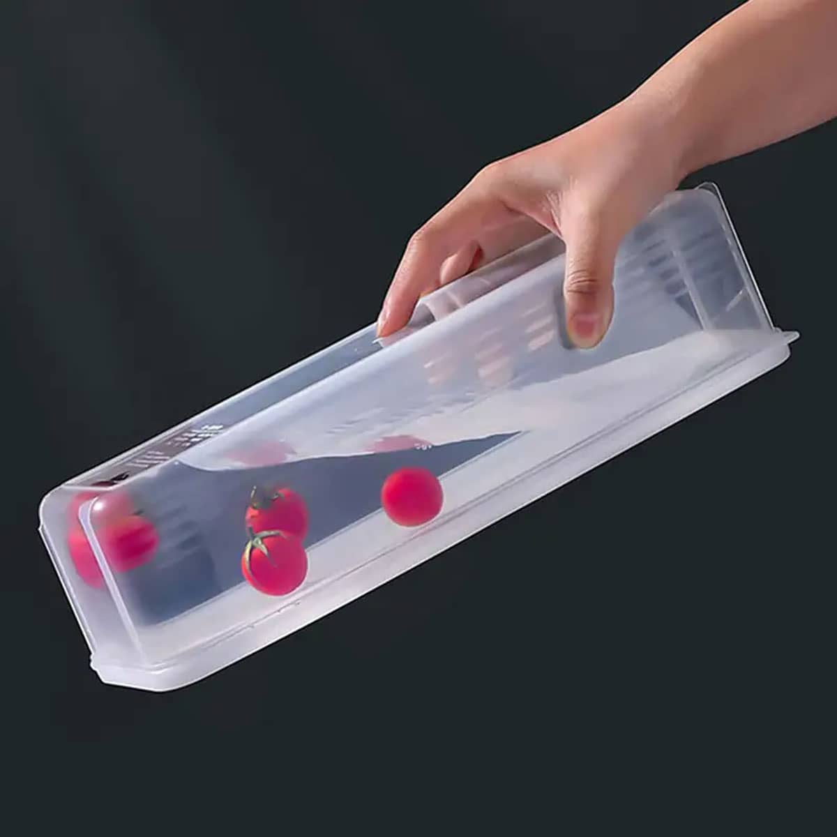 1 Caixa de Armazenamento Plást - Food Storage Refrigerator avaliação e preço